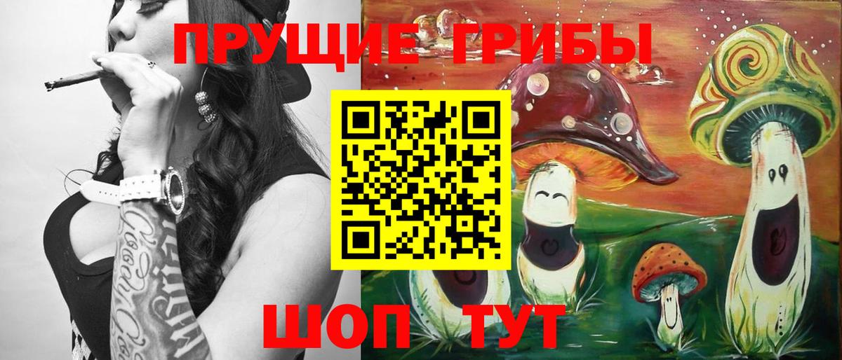 Белореченск  Галлюциногенные грибы GOLDEN TEACHER  Вход с VPN  купить наркоту  Псилоцибиновые грибы GOLDEN TEACHER 